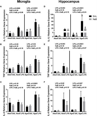 Butyrate and Dietary Soluble Fiber Improve Neuroinflammation Associated With Aging in Mice